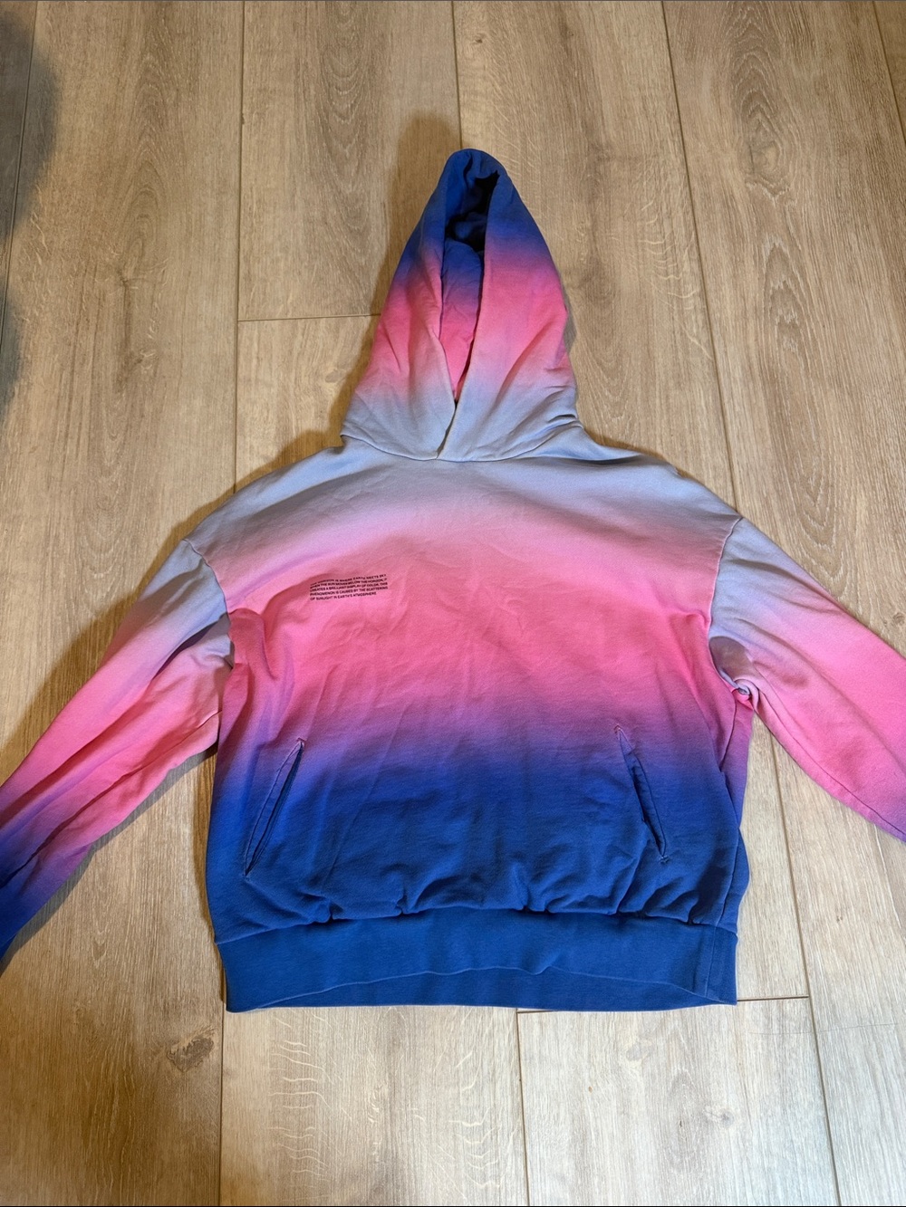 Pangaia Ombre Pink to Blue Hooded sweatshirt